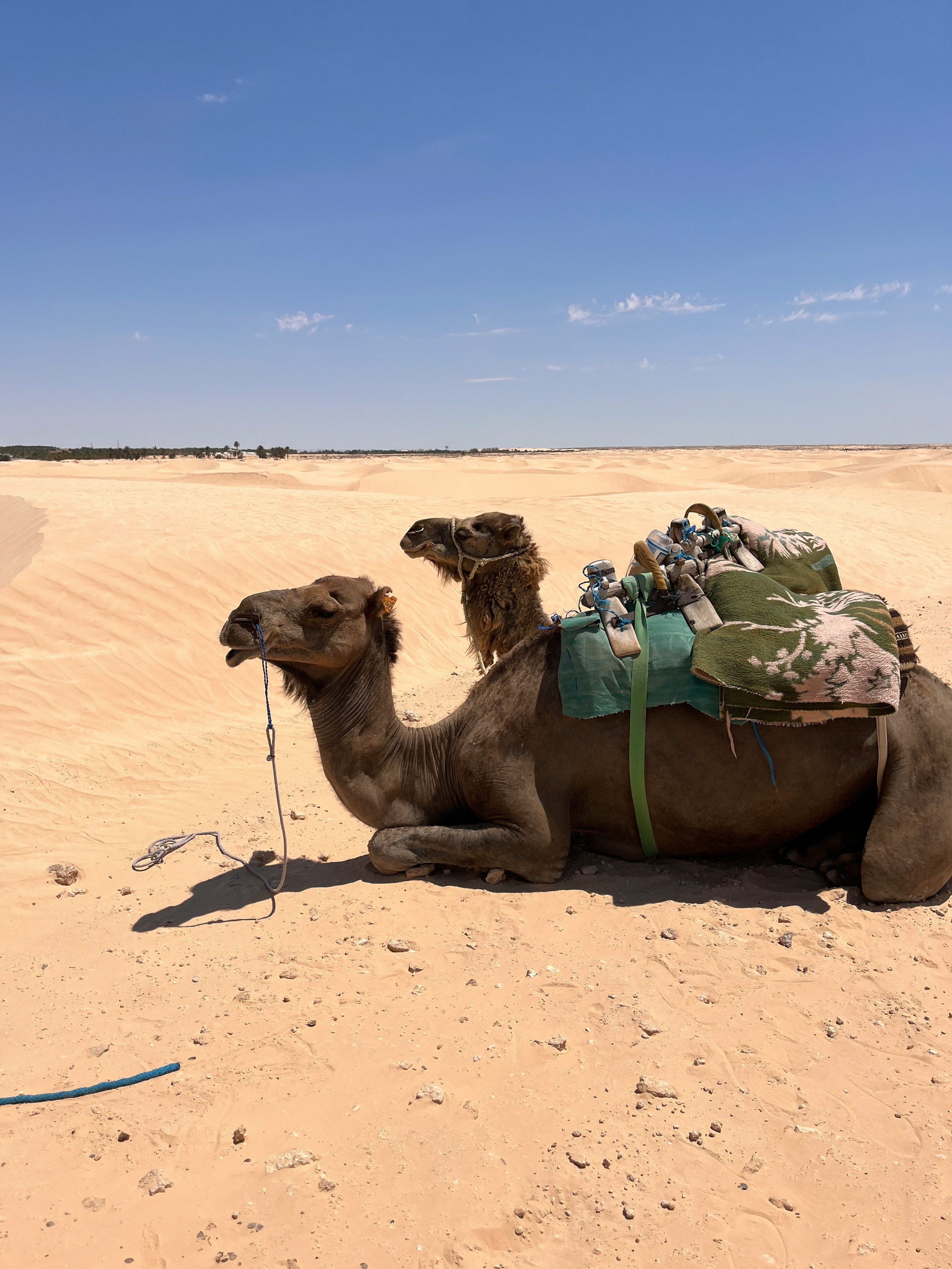 🛎 5. Четете актуални ревюта, не общия рейтинг